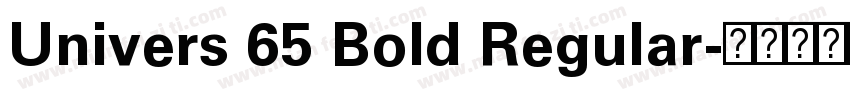 Univers 65 Bold Regular字体转换
